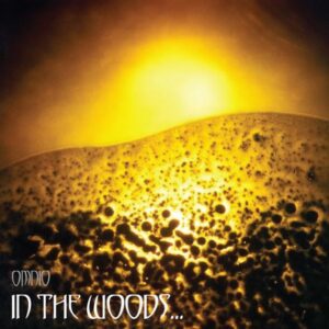 IN THE WOODS - Omnio - Slipcase