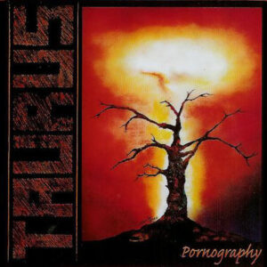 TAURUS - Pornography