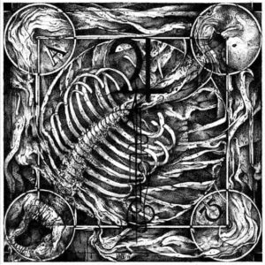 JUPITERIAN - Aphotic