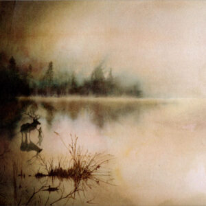 SOLSTAFIR - Berdreyminn