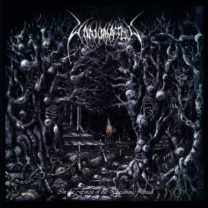 UNANIMATED - In The Forest Of The Dreaming Dead