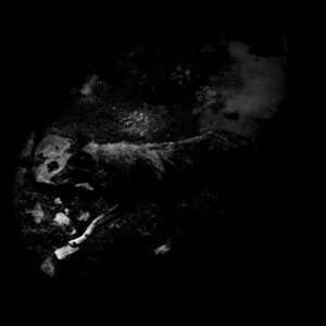 OCTOBER FALLS - The Womb Of Primordial Nature