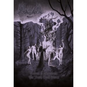 SPELL FOREST - Cadent in Aeternum: The Dark Spell Forest