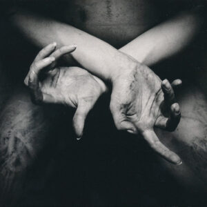 SHINING - X - Varg Utan Flock