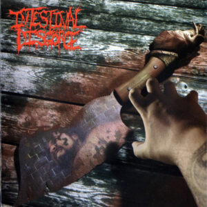 INTESTINAL DISGORGE - A Cockwork Whore Binge