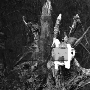 DJEVEL - Norske Ritualer