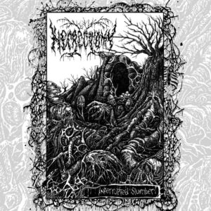 NECRECTOMY - Interrupted Slumber