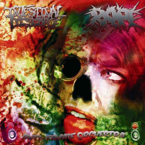 INTESTINAL DISGORGE/RAPE - Anti-Female Orchestra