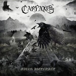 CARPATUS - Malus Ascedant