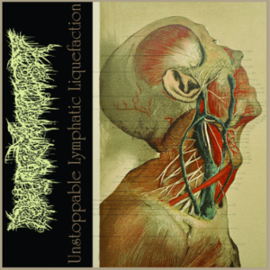 PHARMACIST/EXPURGO - Unstoppable Lymphatic Liquefaction / Entropic Breath - Paper Sleeve