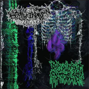 HALLUCINATION REALIZED/REDUNDANT PROTOPLASM - Split
