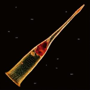 LEPROUS - Melodies of Atonement - Slipcase