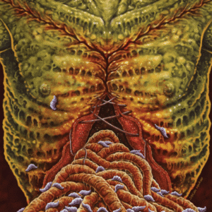 FLESH GRINDER - Biacromioxifopubiano - Slipcase