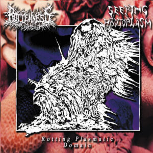 ROTTENNESS/ SEEPING PROTOPLASM - Rotting Plasmatic Domain