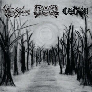 POETICUS SEVERUS/SHADOW MOON/LALSSU - Split