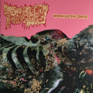 PURULENT REMAINS - Worm-Eaten Corpse